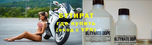 гашик Алексин