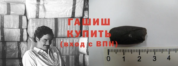 гашик Алексин