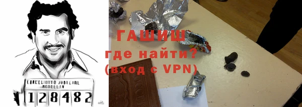 гашик Алексин