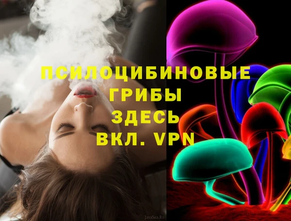MDMA Няндома