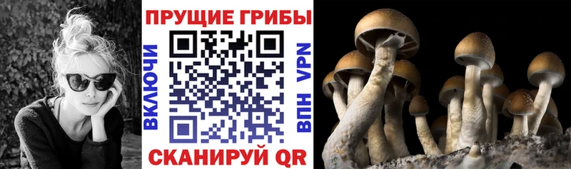 мега рабочий сайт  Чебоксары  Галлюциногенные грибы мухоморы  что такое наркотик 