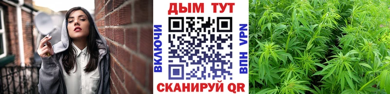 наркота  Чебоксары  Бошки марихуана сатива 